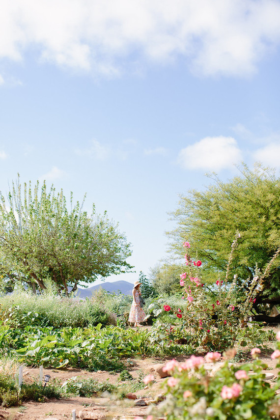 An insider's guide to the Guadalupe Valley in Baja on 100 Layer Cake