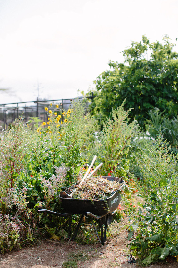 An insider's guide to the Guadalupe Valley in Baja on 100 Layer Cake
