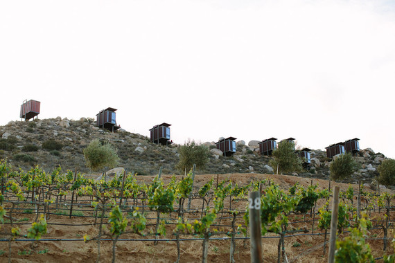 An insider's guide to the Guadalupe Valley in Baja on 100 Layer Cake