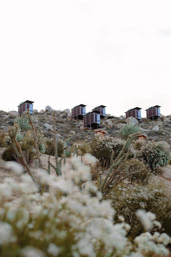 An insider's guide to the Guadalupe Valley in Baja on 100 Layer Cake