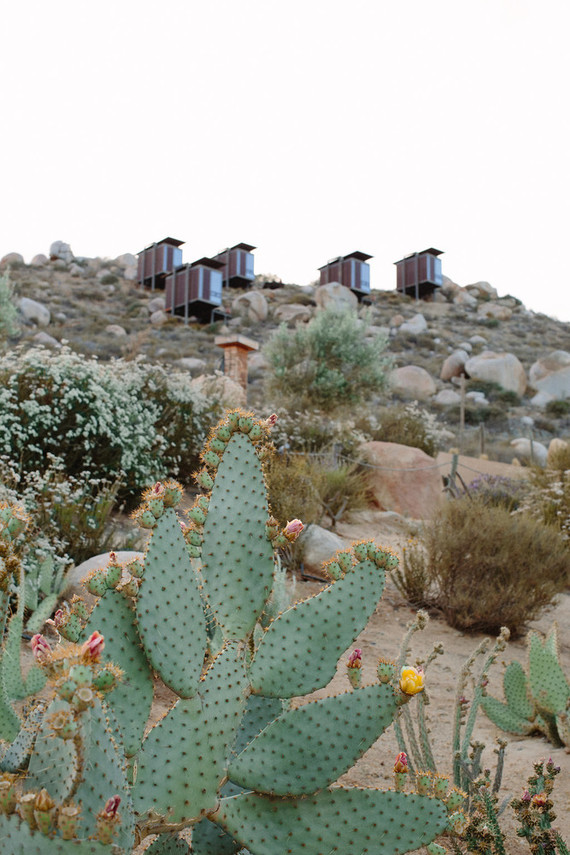 An insider's guide to the Guadalupe Valley in Baja on 100 Layer Cake