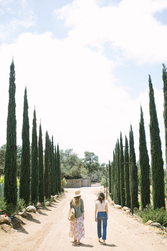 An insider's guide to the Guadalupe Valley in Baja on 100 Layer Cake Inspiration