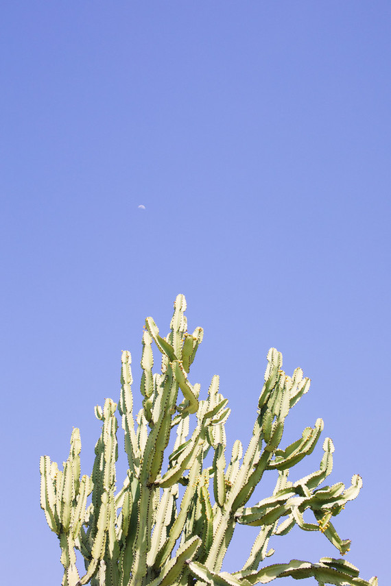 An insider's guide to the Guadalupe Valley in Baja on 100 Layer Cake