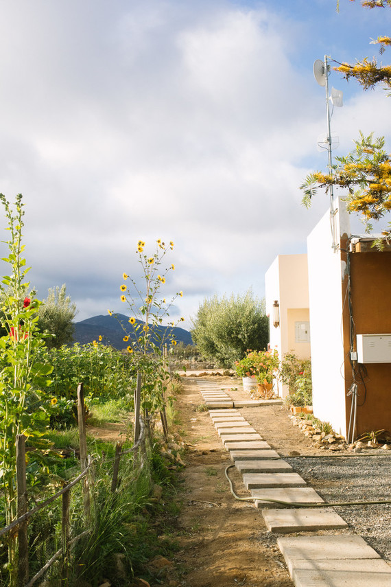 An insider's guide to the Guadalupe Valley in Baja on 100 Layer Cake Inspiration