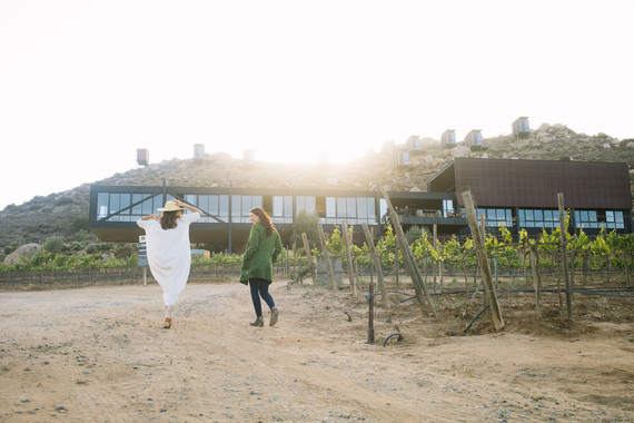 An insider's guide to the Guadalupe Valley in Baja on 100 Layer Cake