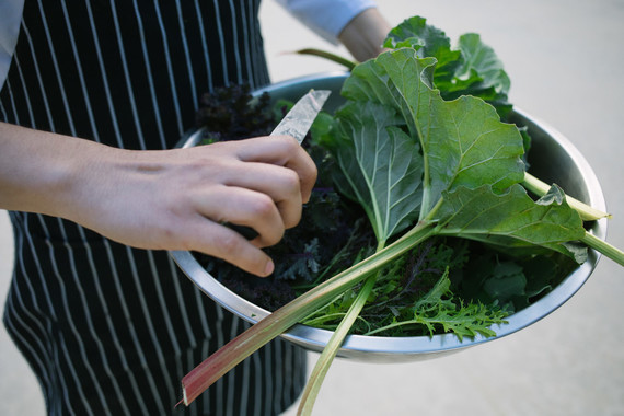 An insider's guide to the Guadalupe Valley in Baja on 100 Layer Cake