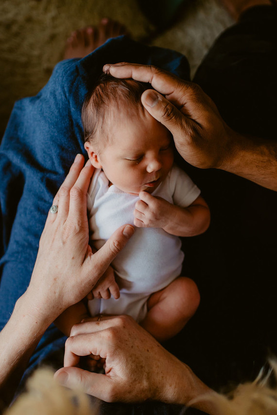 Fresh 48 session and sweet modern boy's nursery