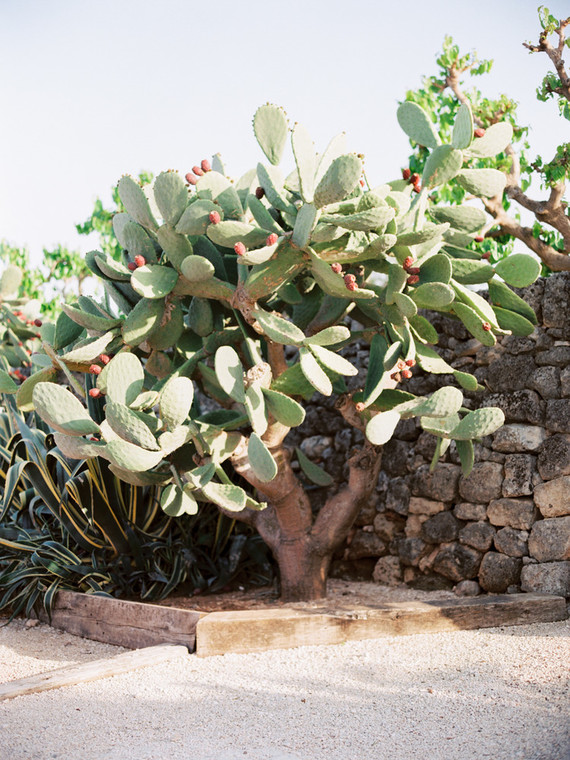Moon and stars fall wedding Italian-style in Puglia