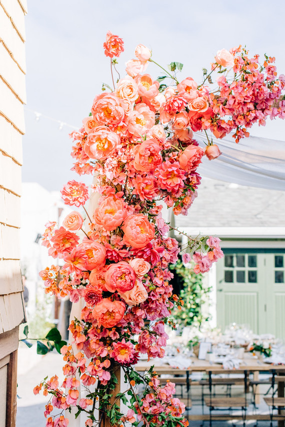 Coral peony arch