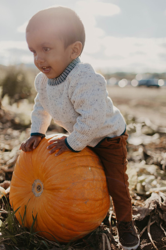 Fall family photos at Kruger Farms on Sauvie's Island