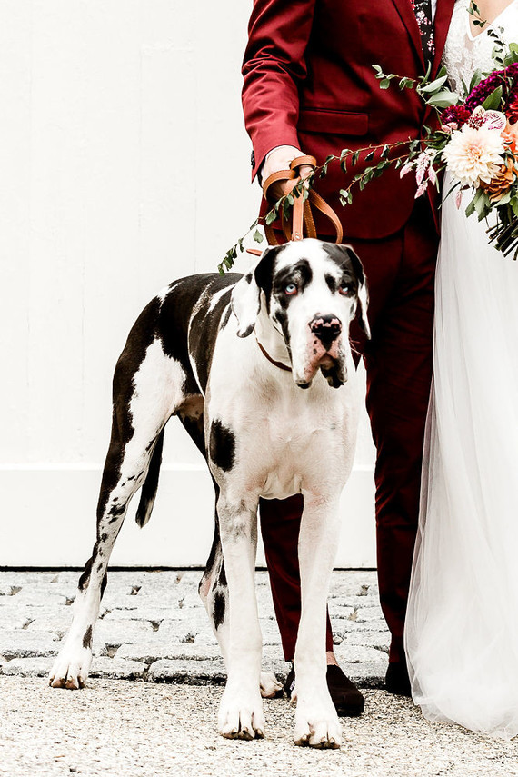 Jewel tone floral explosion at historic Strawberry Mansion in Philadelphia