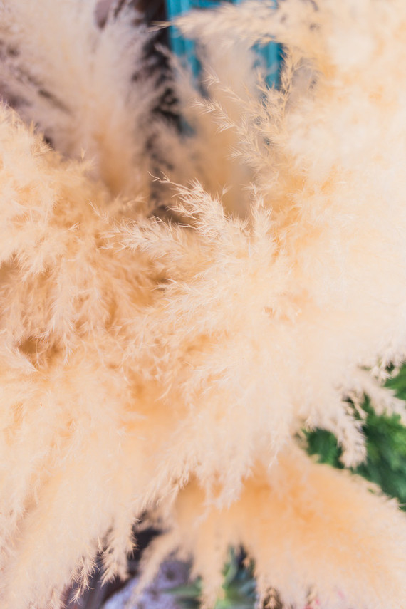 Modern Moana 5th birthday party