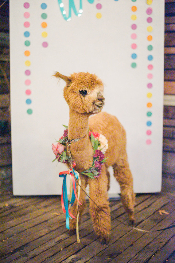 Ultra colorful modern Bat Mitzvah