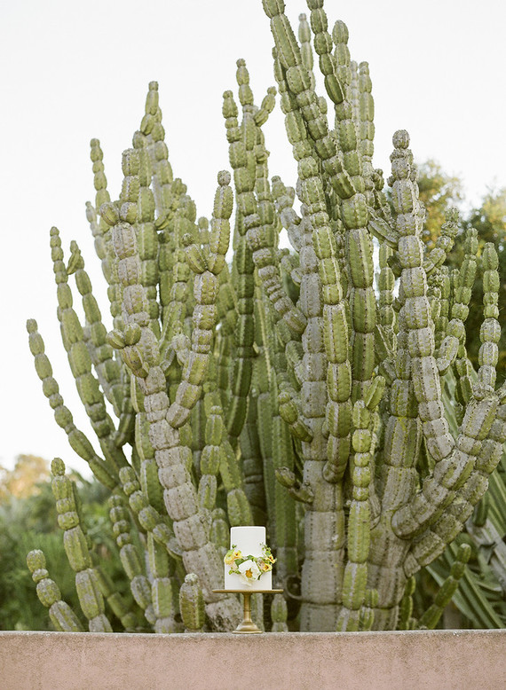 Elegant spring wedding ideas in a cactus garden
