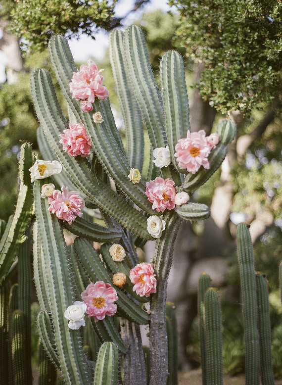 Peonies and cactus in a spring wedding