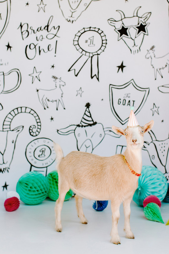 Greatest of All Time (G.O.A.T.) first birthday cake smash session Inspiration
