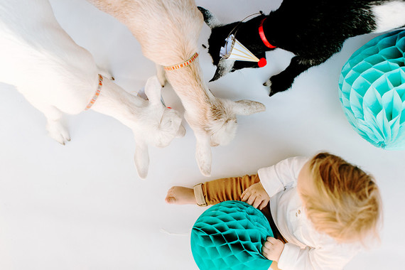Greatest of All Time (G.O.A.T.) first birthday cake smash session