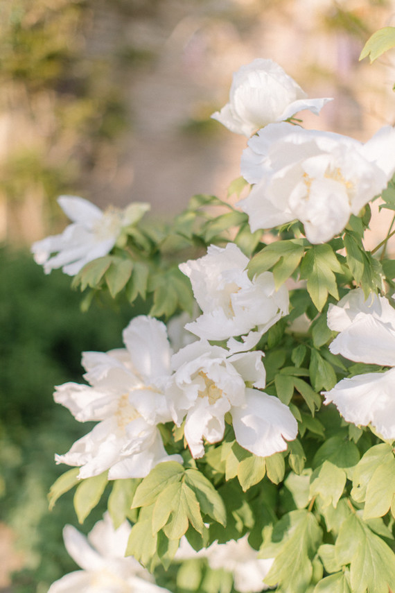 Modern stylish fairytale wedding in a dramatic English garden