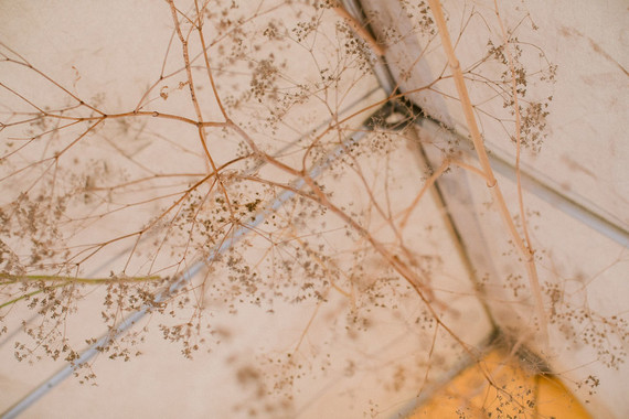 Elopement in Oregon Inspiration