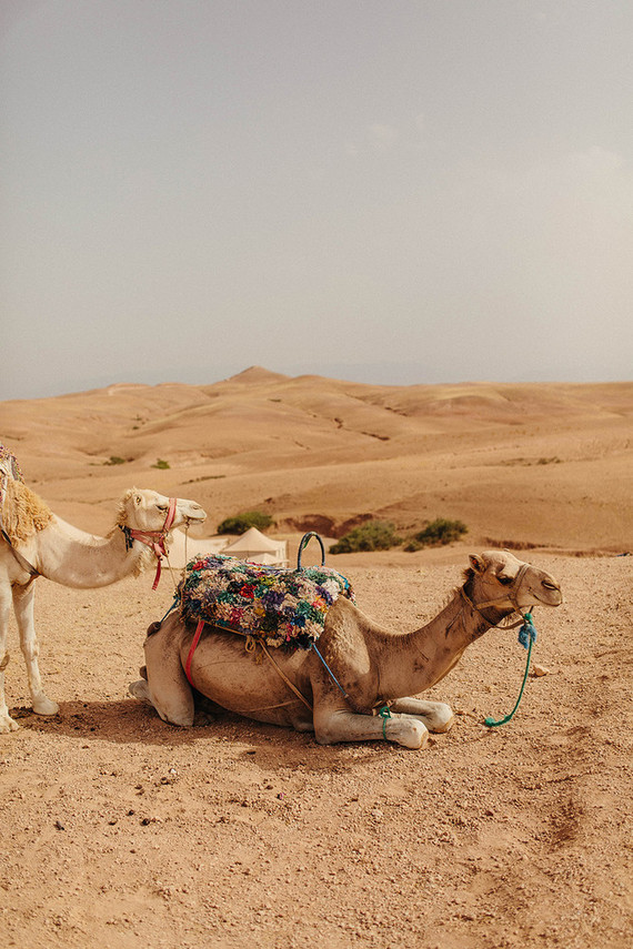 The ultimate in laid back desert chic is this stylish wedding in the Agfay desert outside of Marrakesh