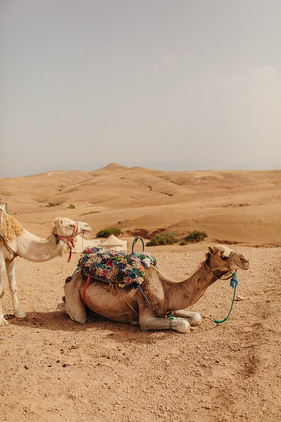 The ultimate in laid back desert chic is this stylish wedding in the Agfay desert outside of Marrakesh