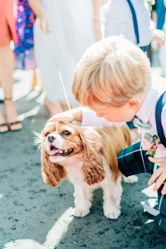 This Scottish wedding in an Irish Castle makes tartan look extra chic