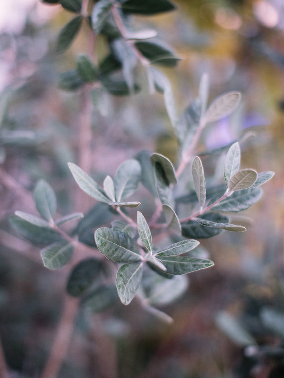 Purple Rain inspired 80's party