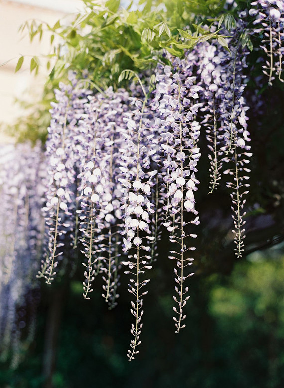 The most romantic elopement ever on the canals of Venice, Italy