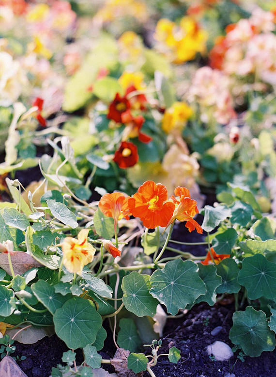 The most romantic elopement ever on the canals of Venice, Italy