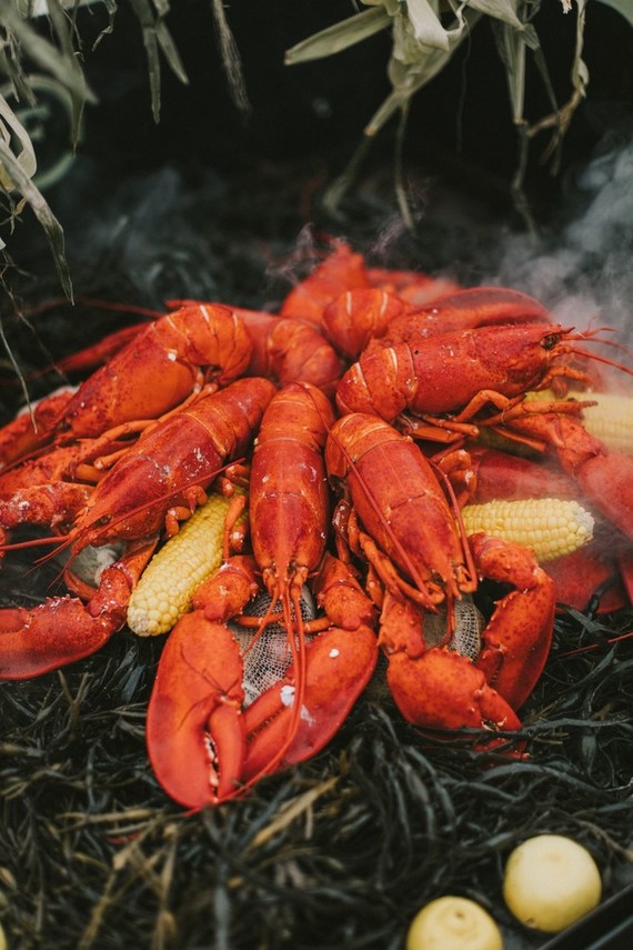 whimsical sunrise glamping elopement in Maine