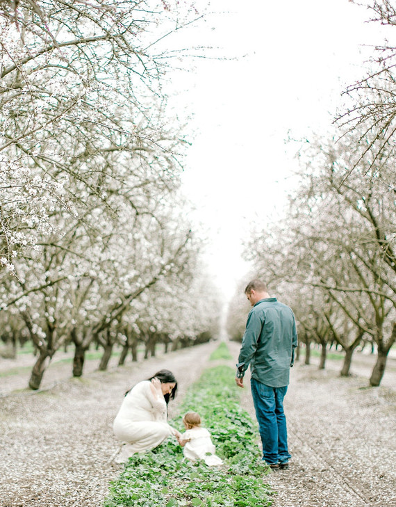 Almond orchard maternity photos in the central valley of California