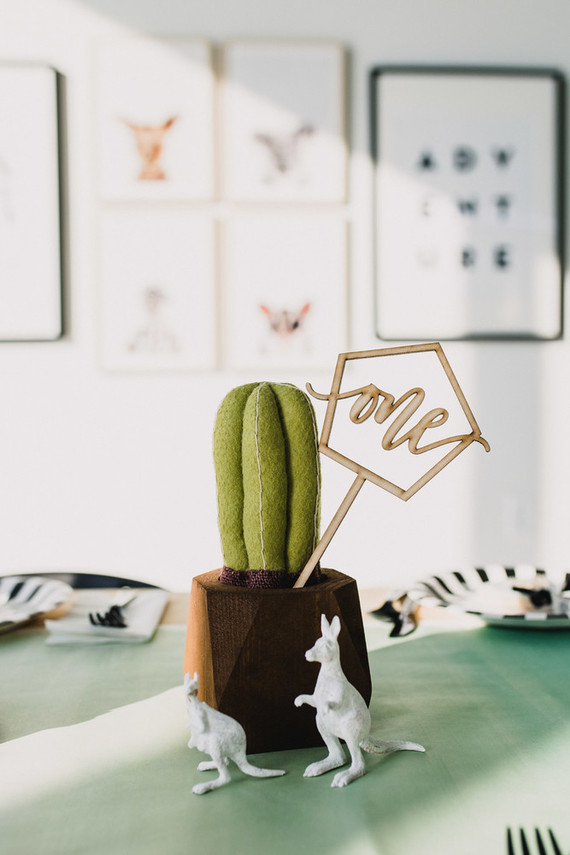 Australian outback first birthday party