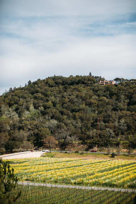 Quintessa Winery Inspiration