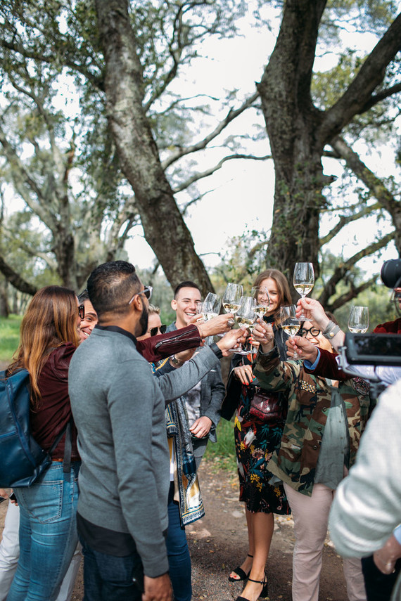 Napa Valley Wine Tasting Inspiration