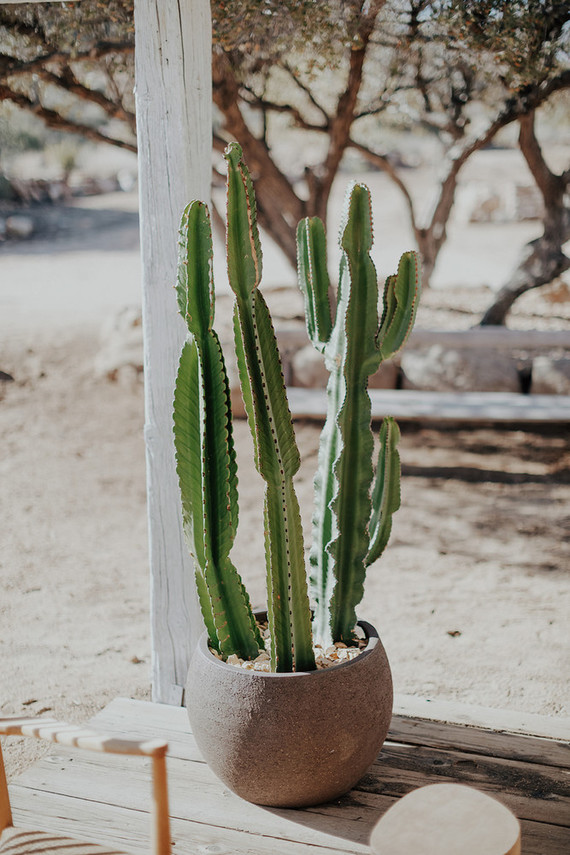 Folksy Joshua Tree wedding with the ultimate desert color palette