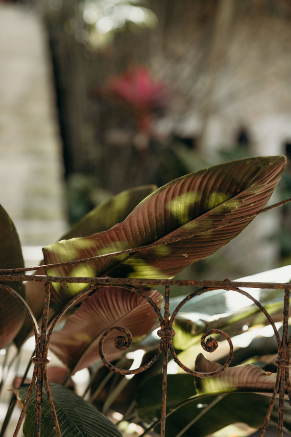 Mexico wedding at Coqui Coqui Inspiration