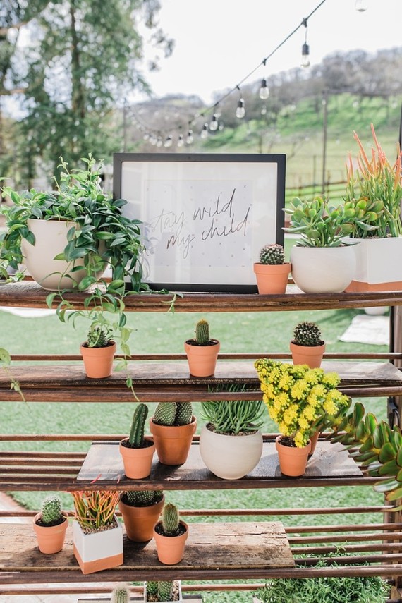 Boho Western boy's baby shower