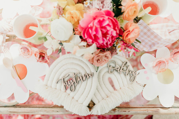 Rainbow alpaca girl's birthday party for twins