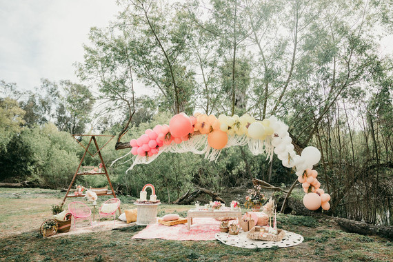 Rainbow alpaca girl's birthday party for twins Inspiration