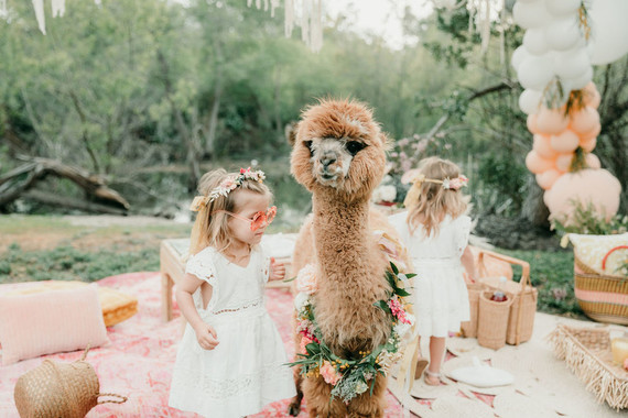 Rainbow alpaca girl's birthday party for twins