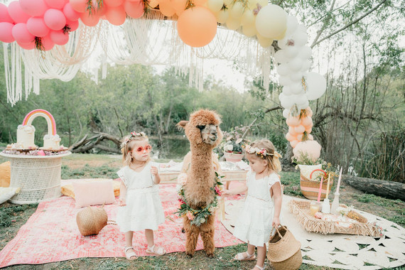 Rainbow alpaca girl's birthday party for twins
