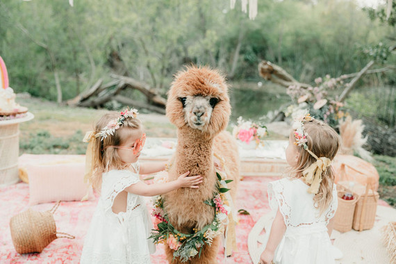 Rainbow alpaca girl's birthday party for twins Inspiration