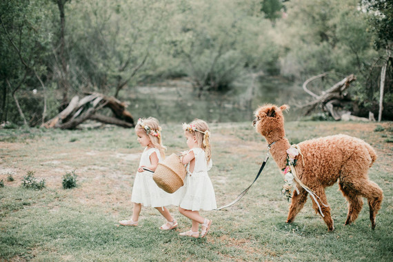 Rainbow alpaca girl's birthday party for twins