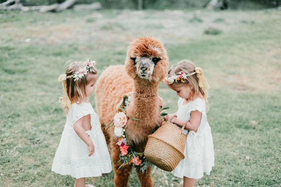 Rainbow alpaca girl's birthday party for twins