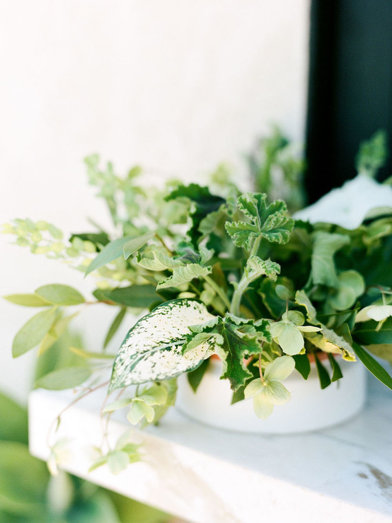 High tea backyard baby shower with baby animals