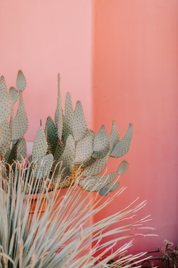 Luxe pink Palm Springs wedding at The Pond Estate