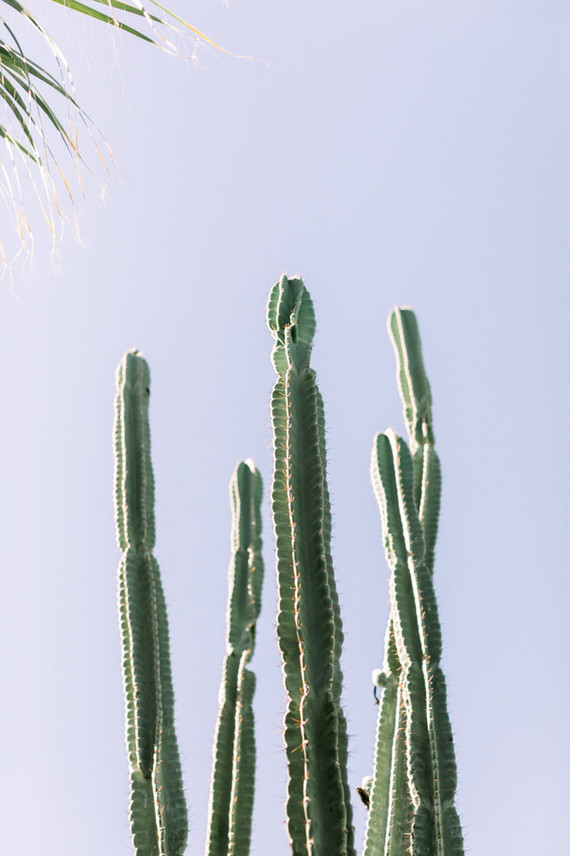 Palm Springs wedding