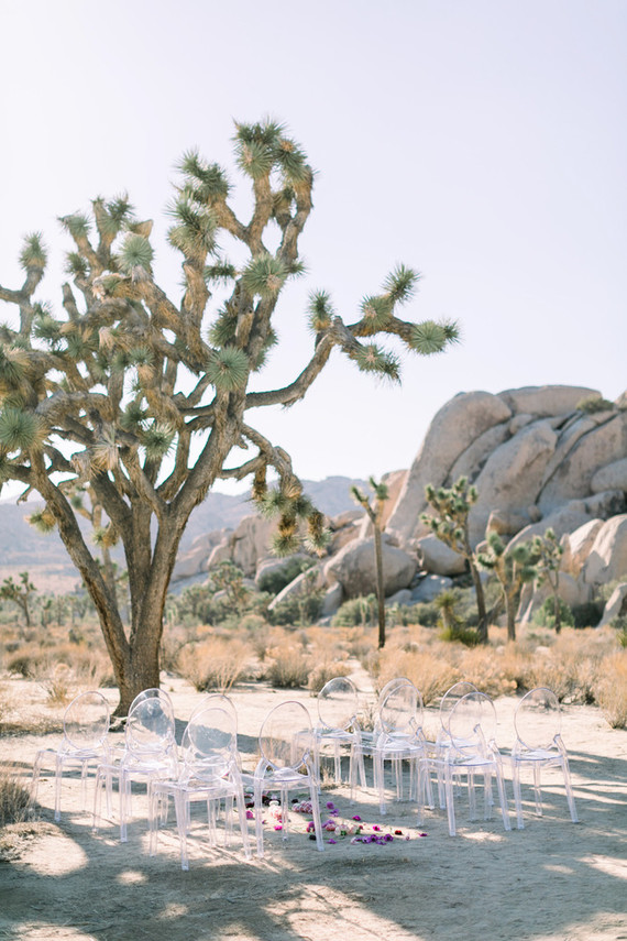 A chic, modern destination elopement at Joshua Tree National Park Inspiration