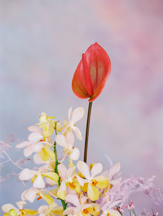 Modern pastel iridescent wedding ideas Inspiration