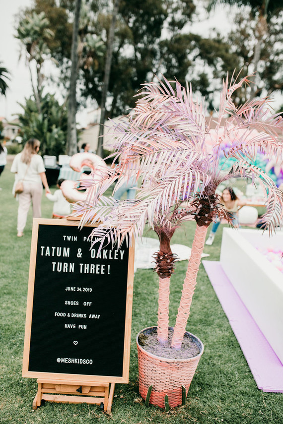 Rainbow pastel twin birthday party